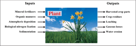 IMPROVING PLANT NUTRIENT MANAGEMENT
FOR BETTER FARMER LIVELIHOODS, FOOD SECURITY AND
ENVIRONMENTAL SUSTAINABILITY