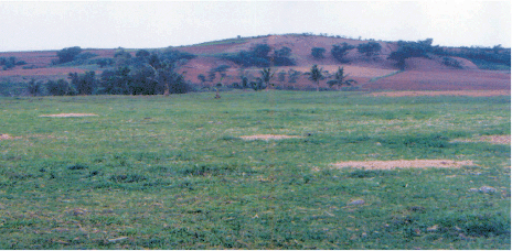IMPROVING PLANT NUTRIENT MANAGEMENT
FOR
ETTER FARMER LIVELIHOODS, FOOD SECURITY
AND ENVIRONMENTAL SUSTAINABILITY