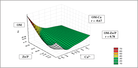 IMPROVING PLANT NUTRIENT MANAGEMENT
FOR
ETTER FARMER LIVELIHOODS, FOOD SECURITY
AND ENVIRONMENTAL SUSTAINABILITY