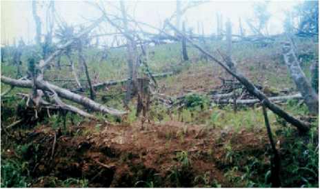 IMPROVING PLANT NUTRIENT MANAGEMENT
FOR
ETTER FARMER LIVELIHOODS, FOOD SECURITY
AND ENVIRONMENTAL SUSTAINABILITY