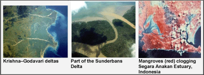 Proceedings of the workshop on coastal
area planning and management in Asian
tsunami-affected countries