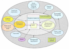 Proceedings of the workshop on coastal
area planning and management in Asian
tsunami-affected countries