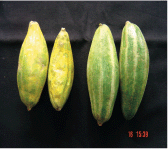 FOOD-BASED NUTRITION STRATEGIES
IN BANGLADESH