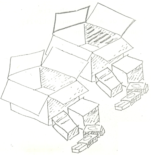 The Integration Of Population Education Into Programmes For Rural Youth In Zimbabwe
