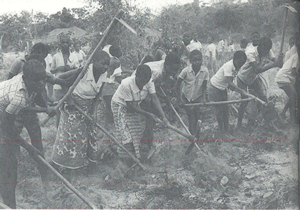 Mozambico: educazione e sviluppo rurale