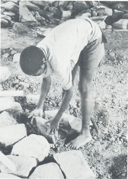 Mozambico: educazione e sviluppo rurale