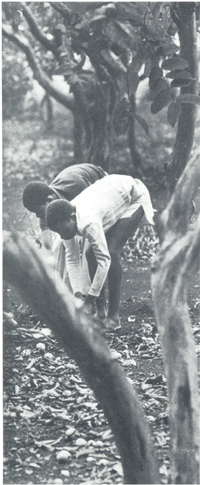 Mozambico: educazione e sviluppo rurale