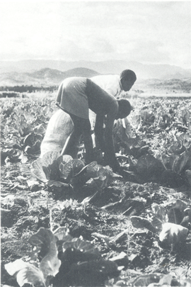 Mozambico: educazione e sviluppo rurale