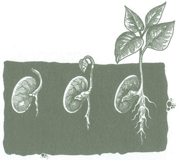EDUCACI&Oacute;N AMBIENTAL PARA EL TR&Oacute;PICO DE COCHABAMBA