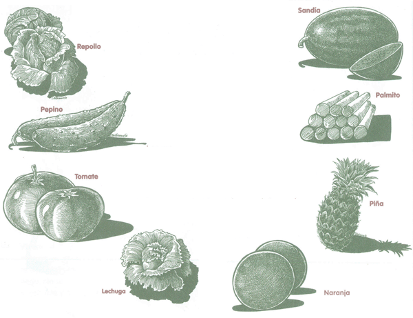 EDUCACI&Oacute;N AMBIENTAL PARA EL TR&Oacute;PICO DE COCHABAMBA