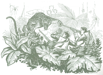 EDUCACIÓN AMBIENTAL PARA EL TRÓPICO DE COCHABAMBA