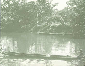 EDUCACIÓN AMBIENTAL PARA EL TRÓPICO DE COCHABAMBA