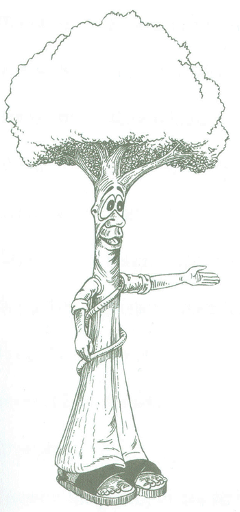 Educaci&oacute;n Ambiental para el Tr&oacute;pico de Cochabamba