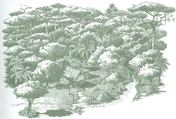 Educaci&oacute;n Ambiental para el Tr&oacute;pico de Cochabamba