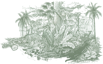 Educaci&oacute;n Ambiental para el Tr&oacute;pico de Cochabamba