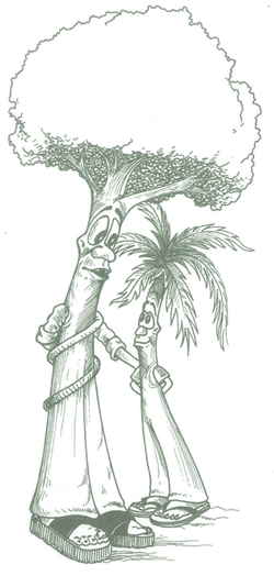 Educaci&oacute;n Ambiental para el Tr&oacute;pico de Cochabamba