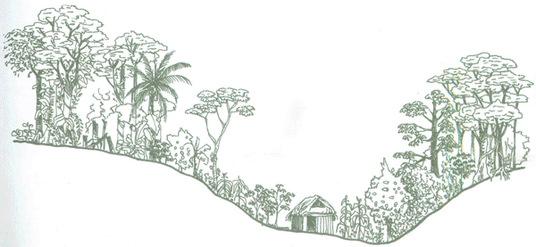 Educaci&oacute;n Ambiental para el Tr&oacute;pico de Cochabamba