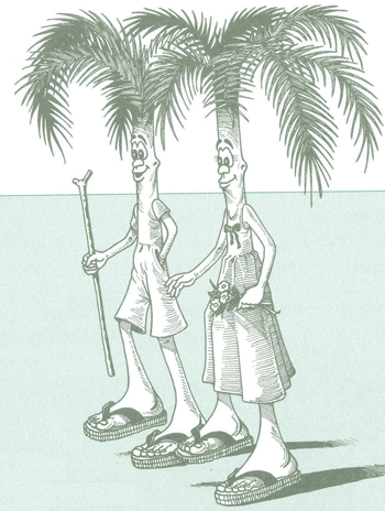 Educaci&oacute;n Ambiental para el Tr&oacute;pico de Cochabamba