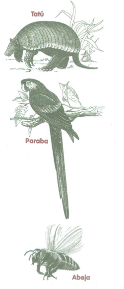 Educaci&oacute;n Ambiental para el Tr&oacute;pico de Cochabamba