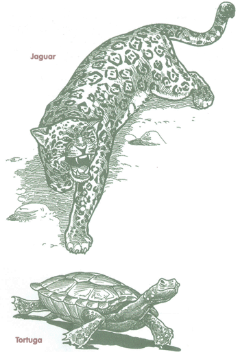 Educaci&oacute;n Ambiental para el Tr&oacute;pico de Cochabamba