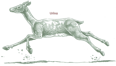 Educaci&oacute;n Ambiental para el Tr&oacute;pico de Cochabamba