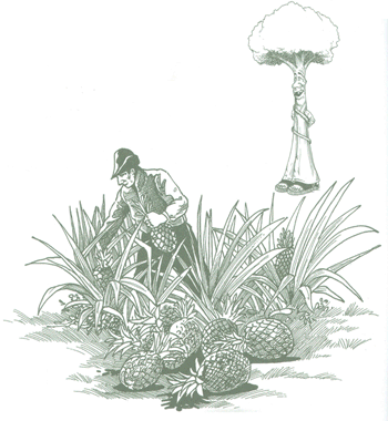 Educaci&oacute;n Ambiental para el Tr&oacute;pico de Cochabamba