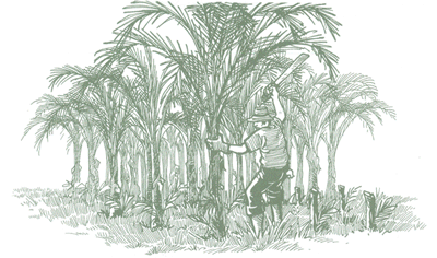 Educaci&oacute;n Ambiental para el Tr&oacute;pico de Cochabamba