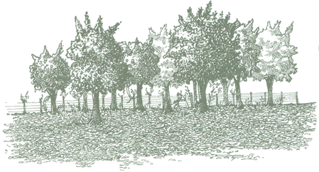 Educaci&oacute;n Ambiental para el Tr&oacute;pico de Cochabamba