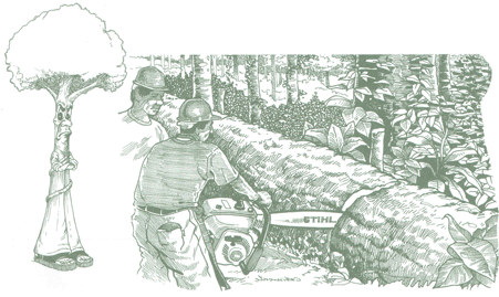 Educaci&oacute;n Ambiental para el Tr&oacute;pico de Cochabamba