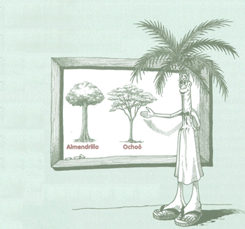 Educaci&oacute;n Ambiental para el Tr&oacute;pico de Cochabamba