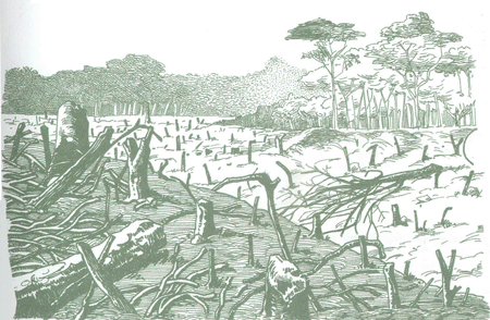 Educaci&oacute;n Ambiental para el Tr&oacute;pico de Cochabamba