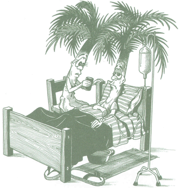 Educaci&oacute;n Ambiental para el Tr&oacute;pico de Cochabamba