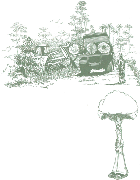 Educaci&oacute;n Ambiental para el Tr&oacute;pico de Cochabamba