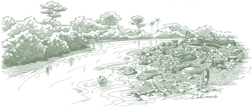 Educaci&oacute;n Ambiental para el Tr&oacute;pico de Cochabamba