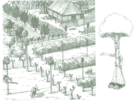 Educaci&oacute;n Ambiental para el Tr&oacute;pico de Cochabamba