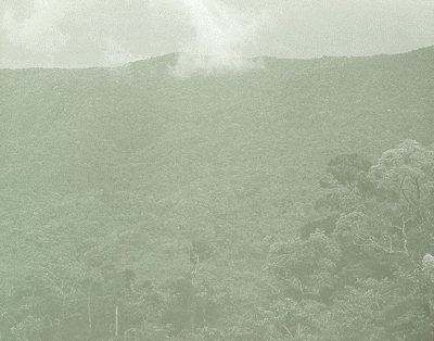 Educaci&oacute;n Ambiental para el Tr&oacute;pico de Cochabamba