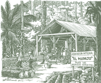 Educati&oacute;n Amblental para el Tr&oacute;plco de Cochabamba