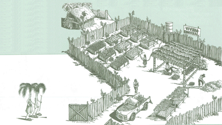 Educati&oacute;n Amblental para el Tr&oacute;plco de Cochabamba