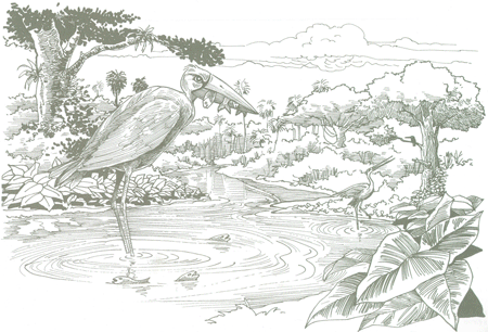 Educati&oacute;n Amblental para el Tr&oacute;plco de Cochabamba