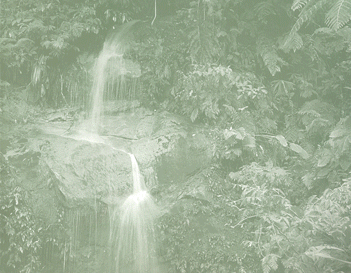 Educati&oacute;n Amblental para el Tr&oacute;plco de Cochabamba