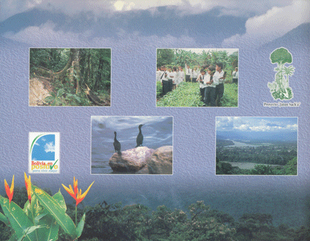 Educati&oacute;n Amblental para el Tr&oacute;plco de Cochabamba