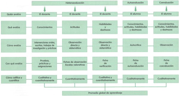 EDUCACI&Oacute;N AMBIENTAL PARA EL TR&Oacute;PICO DE COCHABAMBA