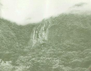 EDUCACI&Oacute;N AMBIENTAL PARA EL TR&Oacute;PICO DE COCHABAMBA