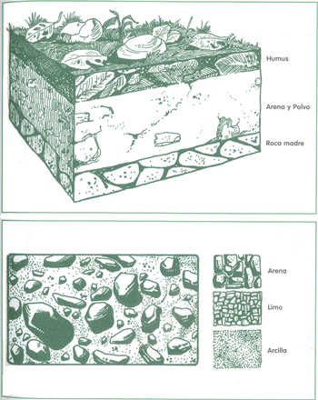 EDUCACI&Oacute;N AMBIENTAL PARA EL TR&Oacute;PICO DE COCHABAMBA