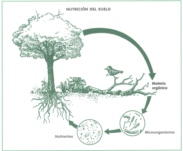 EDUCACI&Oacute;N AMBIENTAL PARA EL TR&Oacute;PICO DE COCHABAMBA