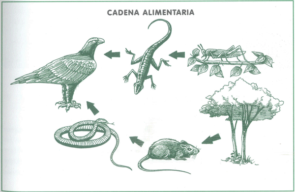 EDUCACI&Oacute;N AMBIENTAL PARA EL TR&Oacute;PICO DE COCHABAMBA