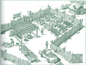 EDUCACI&Oacute;N AMBIENTAL PARA EL TR&Oacute;PICO DE COCHABAMBA