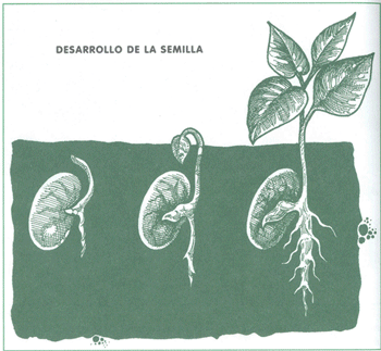 EDUCACI&Oacute;N AMBIENTAL PARA EL TR&Oacute;PICO DE COCHABAMBA