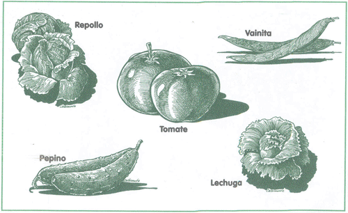 EDUCACI&Oacute;N AMBIENTAL PARA EL TR&Oacute;PICO DE COCHABAMBA