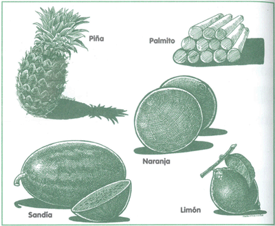 EDUCACI&Oacute;N AMBIENTAL PARA EL TR&Oacute;PICO DE COCHABAMBA
